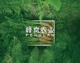 农业品牌升级VI设计-农业公司VIS系统设计