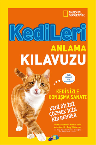 Kedileri Anlama Kılavuzu