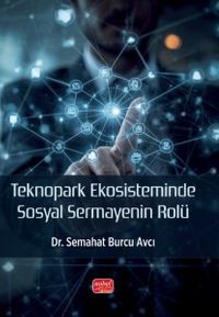 Teknopark Ekosisteminde Sosyal Sermayenin Rolü